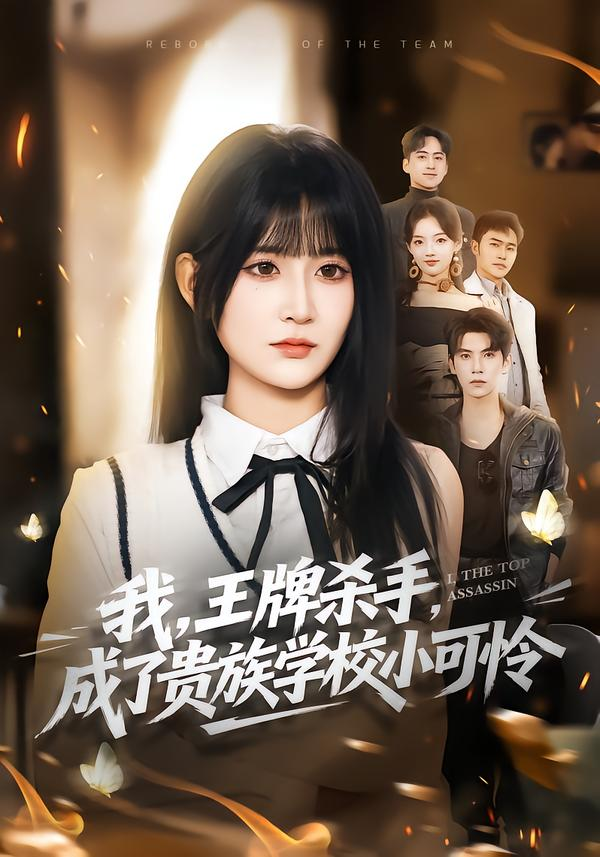 我，王牌杀手，成了贵族学校小可怜＆我王牌杀手成了贵族学校小可怜